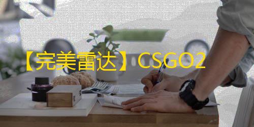 【完美雷达】CSGO2-辅助